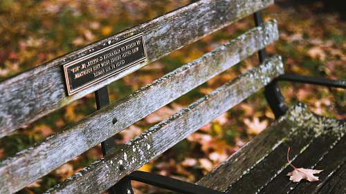 schenley drive brown wooden bench chair with signage pittsburgh